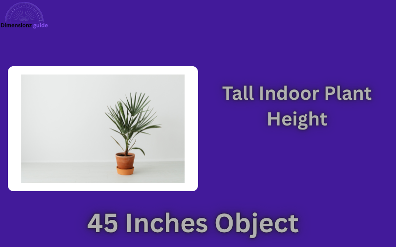 how long is 45 inches