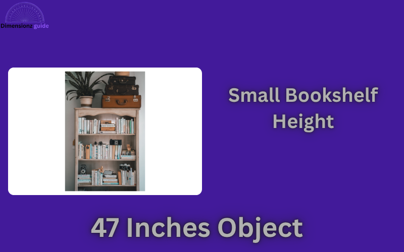 how long is 47 inches