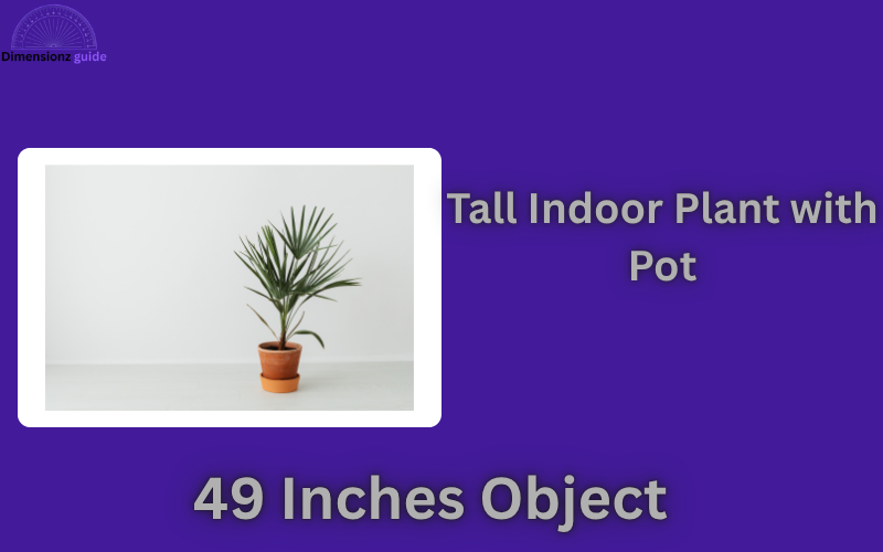how long is 49 inches