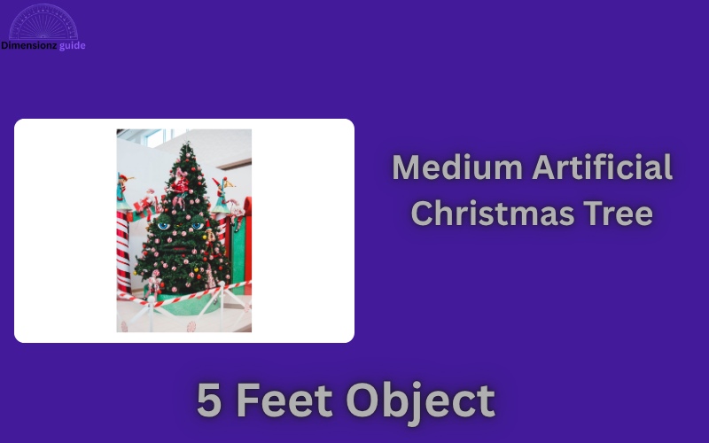 how long is 5 feet