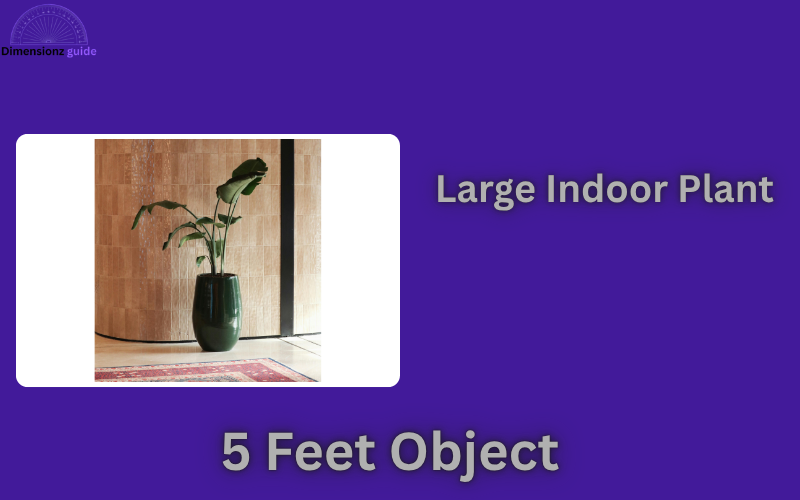 how long is 5 feet