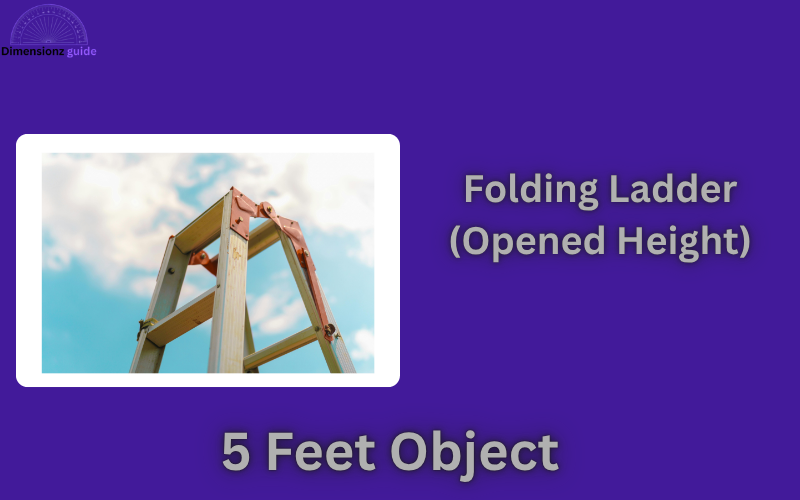 how long is 5 feet