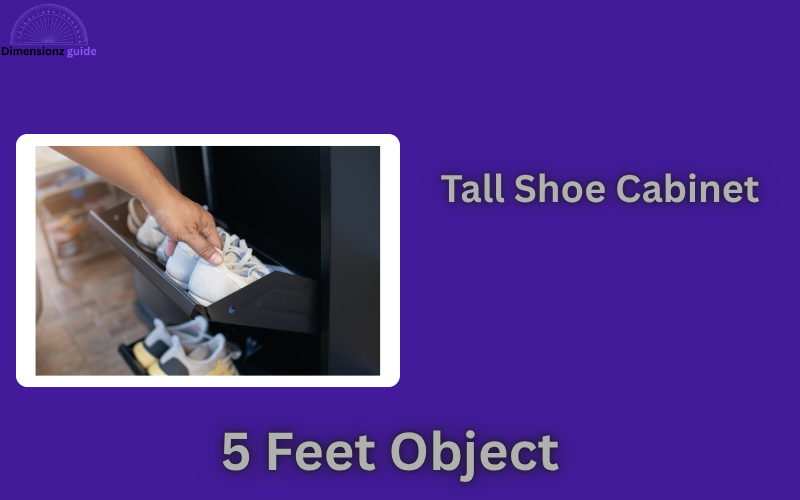 how long is 5 feet