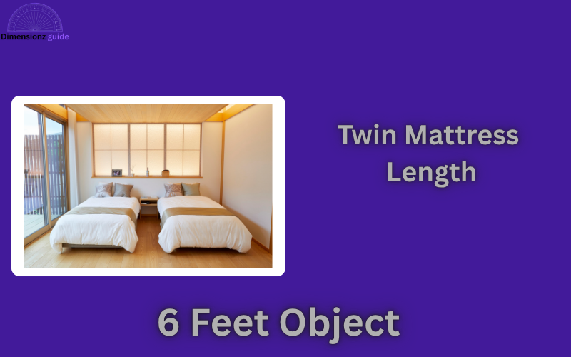 how long is 6 feet