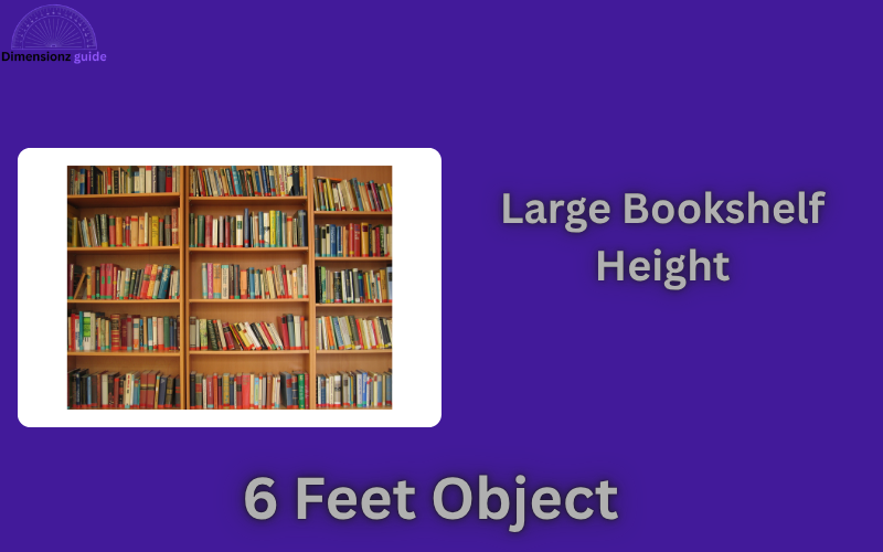 how long is 6 feet