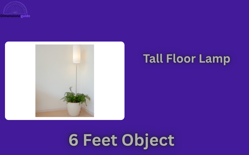 how long is 6 feet