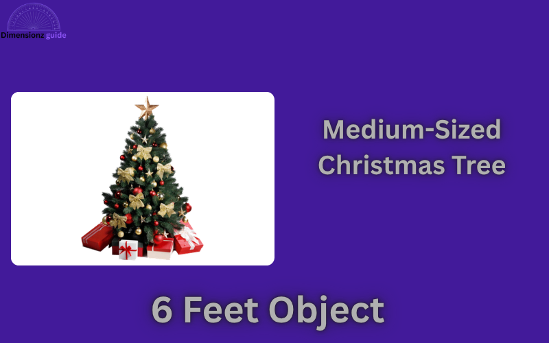 how long is 6 feet