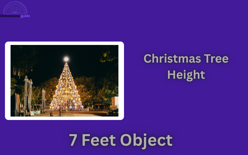 how long is 7 feet