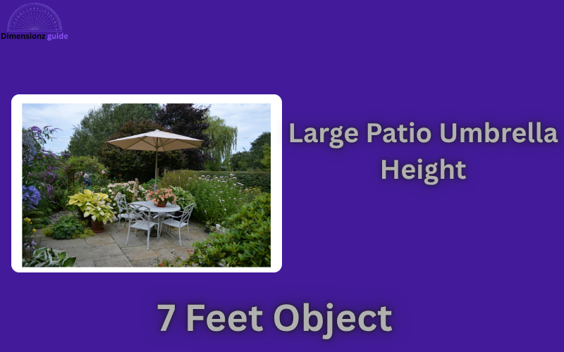 how long is 7 feet