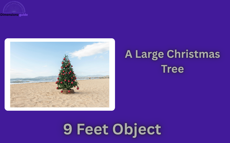 how long is 9 feet