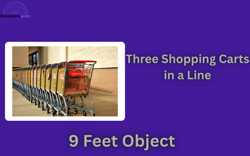 how long is 9 feet