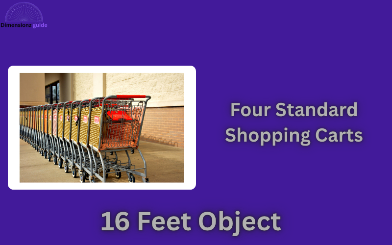 how long is 16 feet