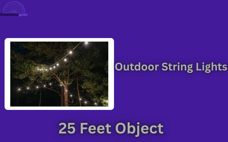 how long is 25 feet 