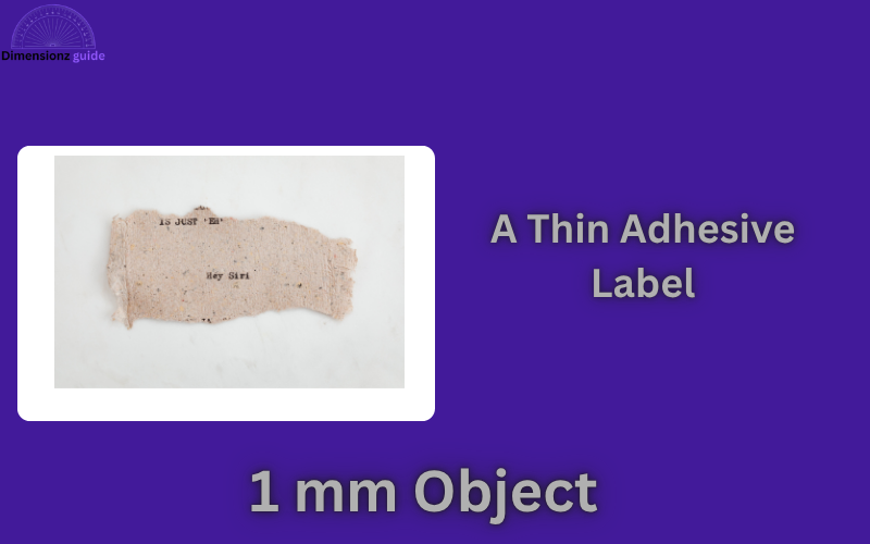 how big is 1 mm