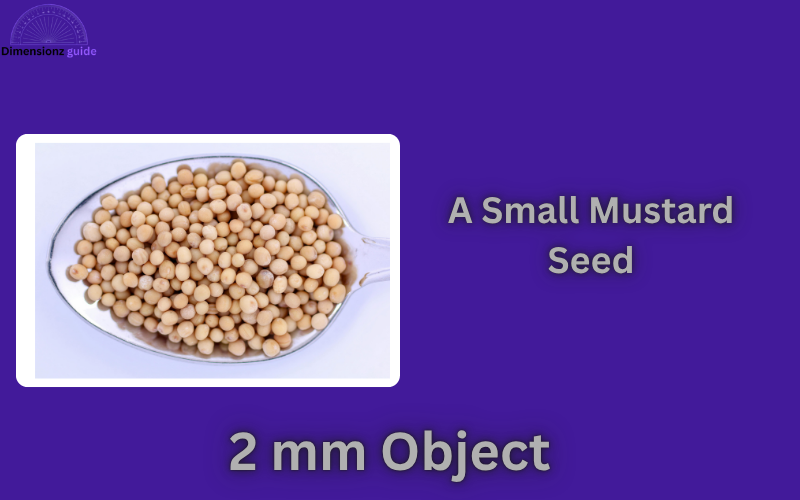 how big is 2 mm