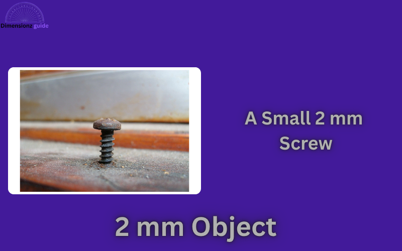 how big is 2 mm