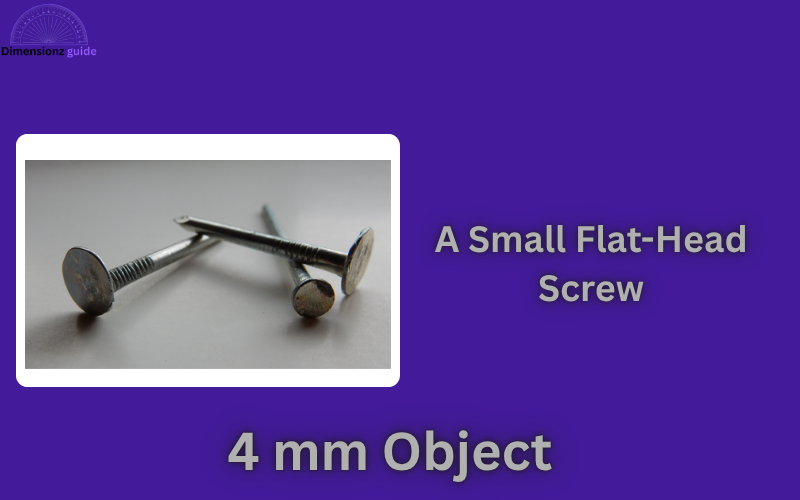 how big is 4 mm