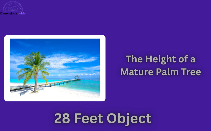 how long is 28 feet